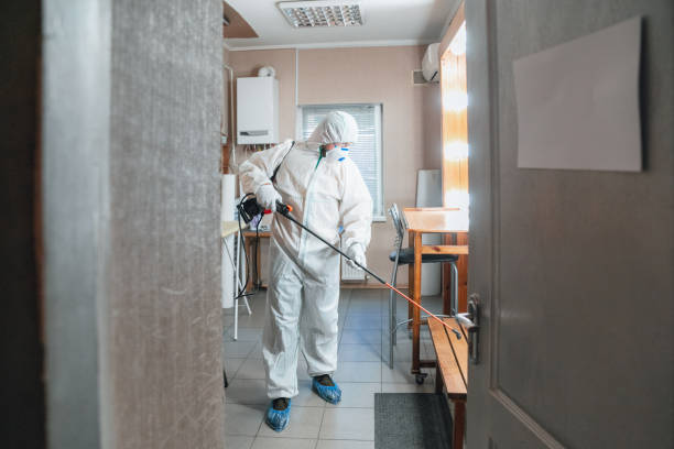 Forensic Mold Investigation in De Leon, TX