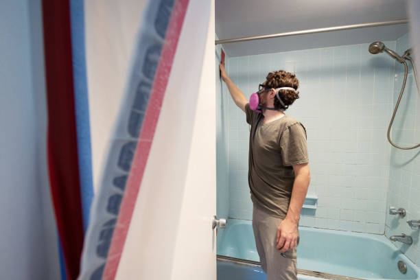 Best Basement Mold Removal  in De Leon, TX