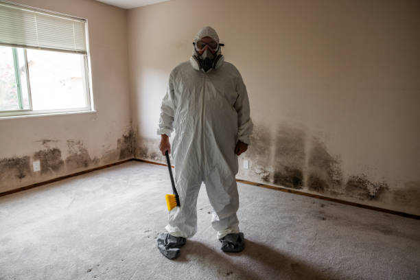 Best Air Quality Testing for Mold Spores  in De Leon, TX